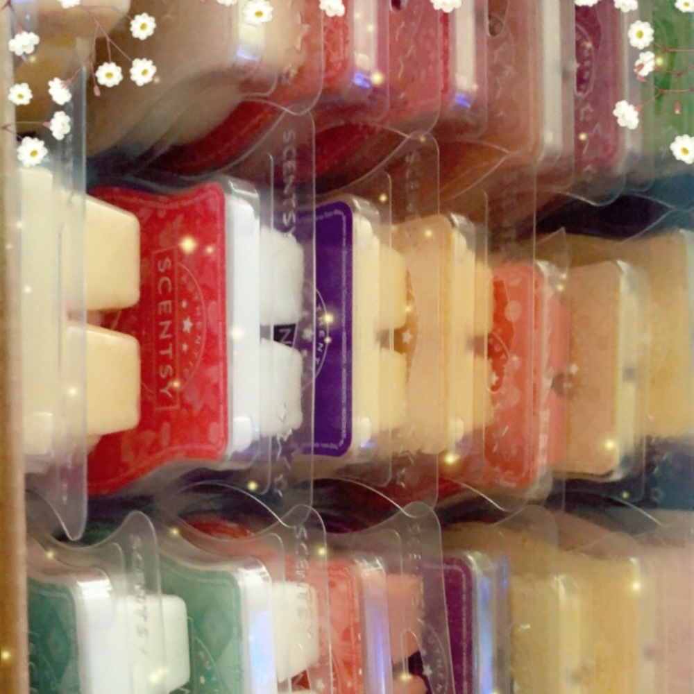 🍁Scentsy ❤️ 7/$30 ❄️